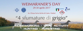 Weimaraner&#039;s day:4 sfumature di grigio