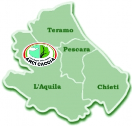 Arci Caccia: niente fantasie! La caccia al cinghiale si fa in braccata, dalle Alpi alla Sicilia, Abruzzo compreso. Nessun organismo dirigente si è mai espresso diversamente e vivaddio.