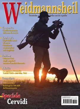In Edicola Weidmannsheil 2-17