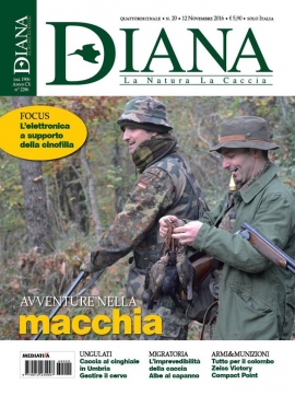 Diana 20 - 2016