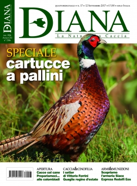 In Edicola Diana 17-2017