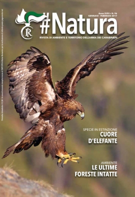 PRESENTATA #NATURA, LA NUOVA RIVISTA DI AMBIENTE E TERRITORIO DELL’ARMA DEI CARABINIERI