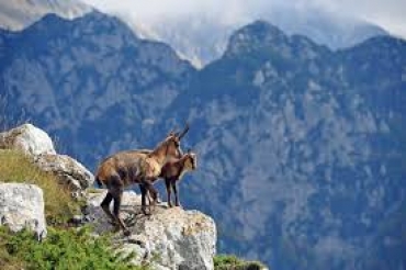 Val d'Ossola: i cacciatori denunciano il "canale trappola"