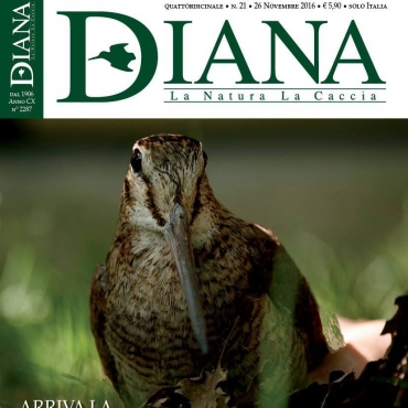 In Edicola Diana 21-2016