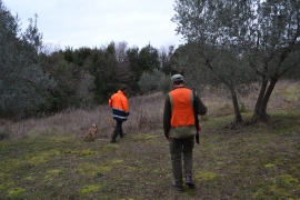 Toscana: Novità sulla destinazione dei capi prelevati in controllo