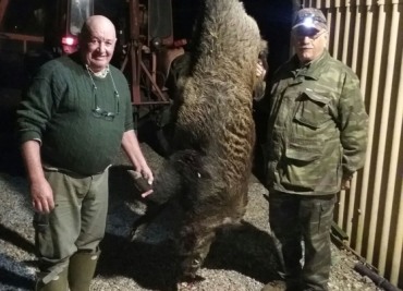 Friuli: Il consigliere Ziberna sull'emergenza cinghiali