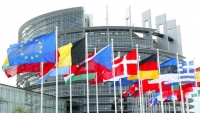 Gli europarlamentari scrivono al Ministro Costa