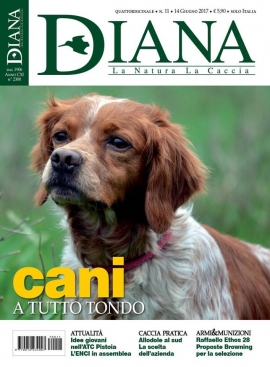 In Edicola Diana 11-2017