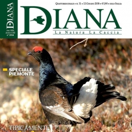In Edicola Diana 11-2018