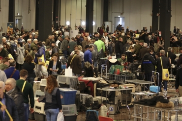 HIT SHOW 2018: IL PIANETA DELL’ARTE VENATORIA SI RIUNISCE ALLA FIERA DI VICENZA