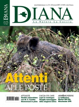 In Edicola Diana 13 -2017