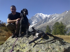 Il Cane da Montagna visto da...Paolo Dellavalle