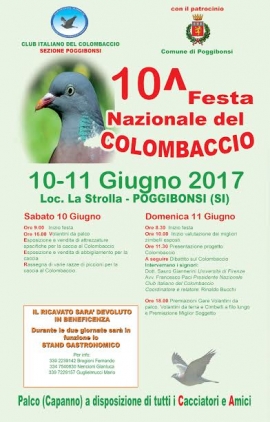 Il 10 - 11 Giugno a Poggibonsi la 10° Edizione della Festa Nazionale del Colombaccio