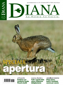 In Edicola Diana 15 - 2017