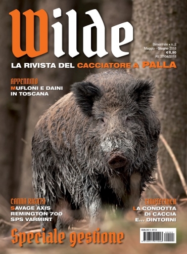 WILDE n.2