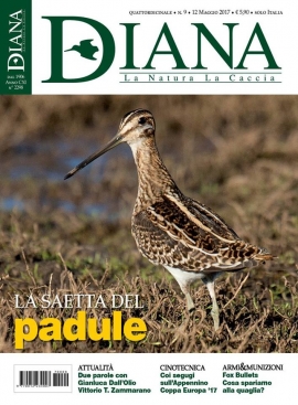 E&#039; in Edicola Diana 9 - 2017