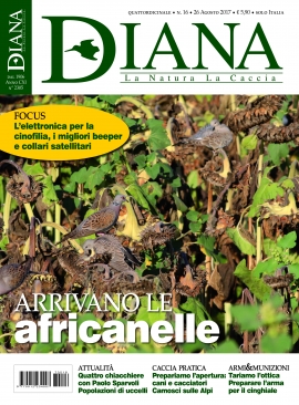 In Edicola Diana 16-2017