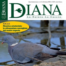 In Edicola Diana 8-2018
