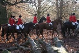 Londra: Spiragli per una possibile riapertura della caccia alla volpe