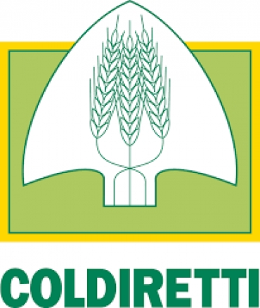 COLDIRETTI UMBRIA: PER L'EMERGENZA CINGHIALI PROROGARE PERIODO DI CACCIA E PIÙ CONTROLLI NELLE AREE PROTETTE