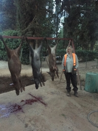 Cinghiale: Stefania Craxi intervistata dalla rivista CHI difende la &quot;sua&quot; caccia