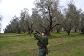 In attesa dei Tordi… A Canino