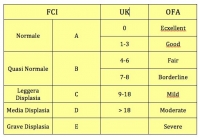 La classificazione della displasia dell&#039;anca
