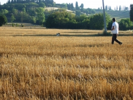 ARCI CACCIA: CAMPIONATI SOCIALI REGIONALE TOSCANO E NAZIONALE ITALIANO CON CANI DA FERMA E DA CERCA SU SELVAGGINA NATURALE