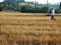 ARCI CACCIA: CAMPIONATI SOCIALI REGIONALE TOSCANO E NAZIONALE ITALIANO CON CANI DA FERMA E DA CERCA SU SELVAGGINA NATURALE