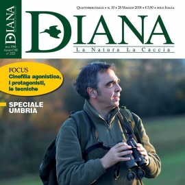 In Edicola Diana 10-18