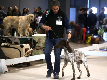 LA CINOFILIA PROTAGONISTA AD HUNTING SHOW SUD