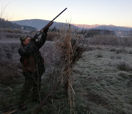 Migratoria: Gli ultimi colpi...