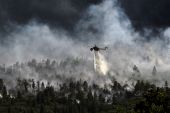Caccia e incendi in Friuli-Venezia Giulia: le associazioni animaliste chiedono una moratoria