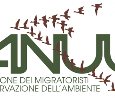 Anuu Migratoristi si rivolge al TAR dopo lo stop al Calendario Venatorio della Lombardia