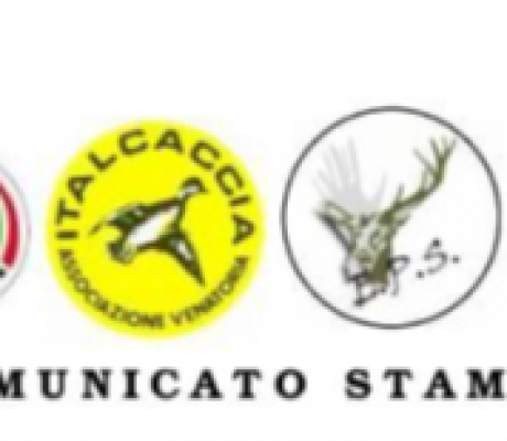 Calabria: Arci Caccia, ANLC, Italcaccia, EPS, ANUU e ATC Cosenza 1 annunciano la revoca della sospensione della preapertura al colombaccio