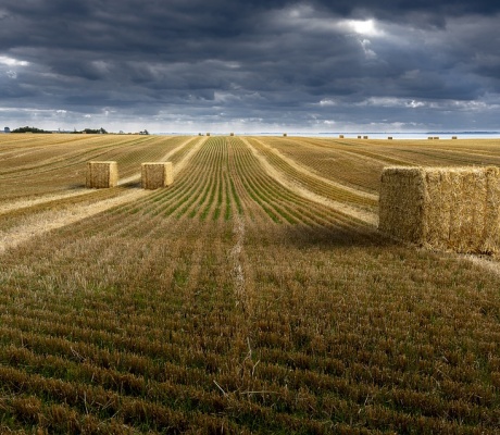 Gestire il territorio per costruire il futuro
