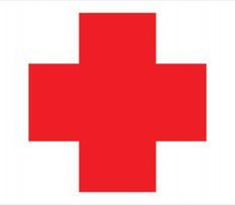 La Leishmaniosi, novità da uno studio spagnolo