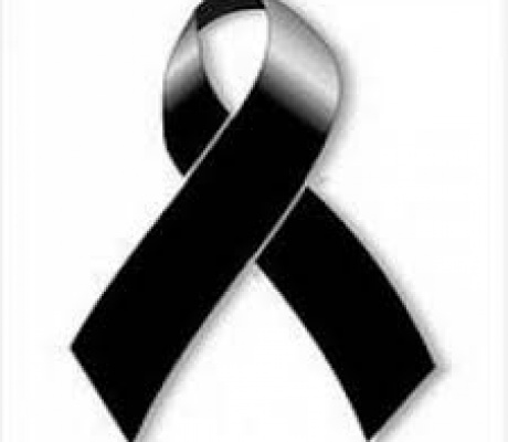 Perugia: Tragico incidente a Magione, due ragazzi folgorati mentre recuperano un richiamo