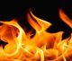 INCENDIO IN UN CAPANNO. MUOIONO 5 CANI DA CACCIA