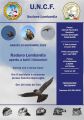 In Lombardia un raduno di falconieri