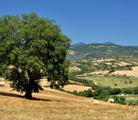 Toscana: in campo anche i cacciatori nelle ricerche di un uomo scomparso a Monterotondo Marittimo