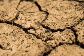 Caldo e siccità, gli ambientalisti chiedono di rinviare la caccia in Toscana. Ma intanto comincia a piovere....
