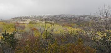Crimea
